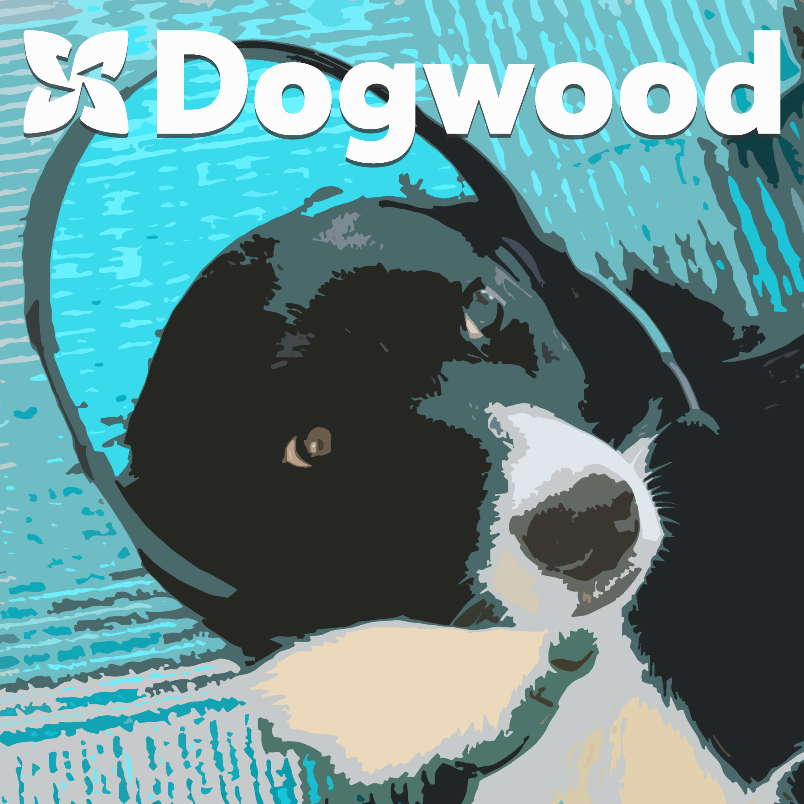 Dogwood podcast art
