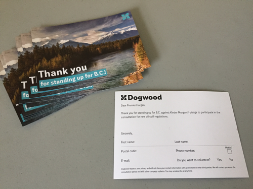 Pictures of Pledge Cards