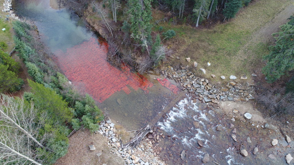 Salmon mats a result of weak environmental assessment