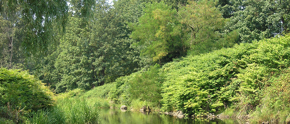 Brunette River Conservation Area