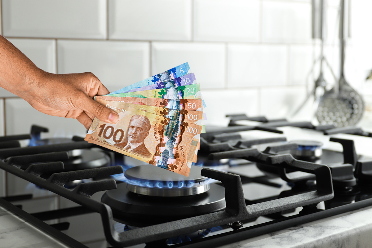 illustration of a person's hand holding money over the open flame of a gas stove, showing Fortis bill going up